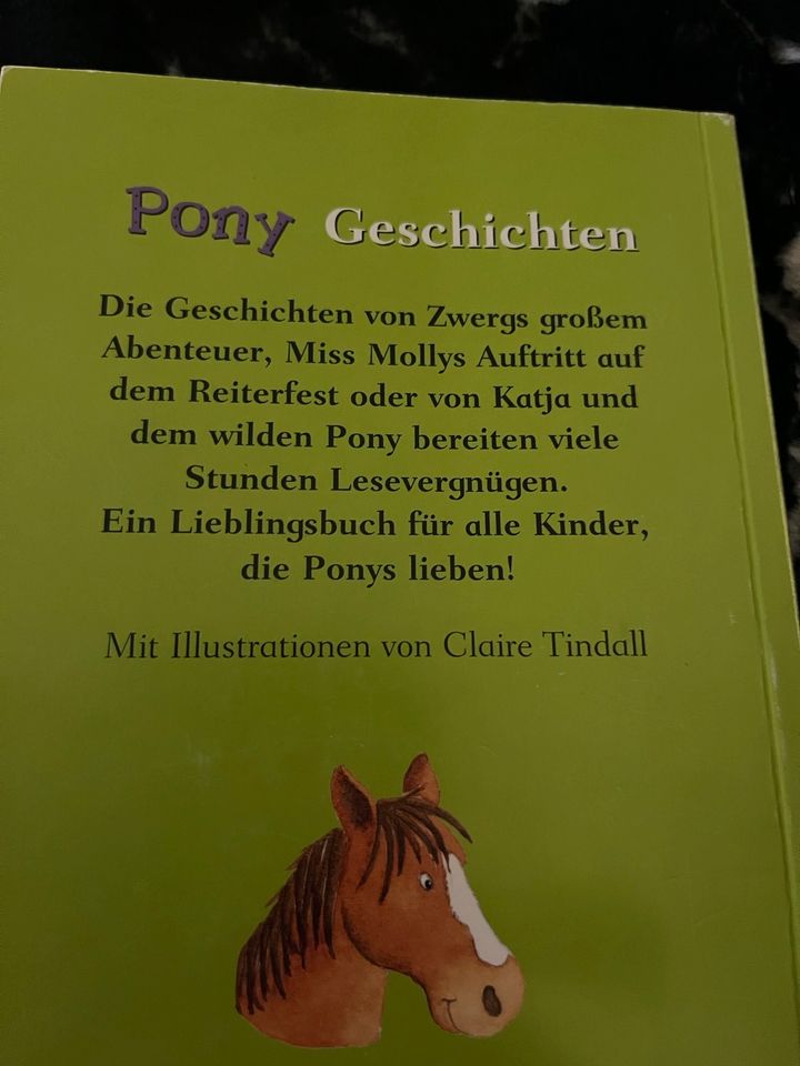 Pony Geschichten 10 bezaubernde Geschichten in Bienenbüttel