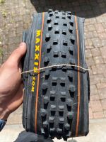 Maxxis Madusa MTB Reifen 26 Zoll Baden-Württemberg - Kuppenheim Vorschau