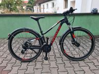 Haibike SEET Hard Seven 2.5 Street 35 cm Matt Bayern - Pommersfelden Vorschau