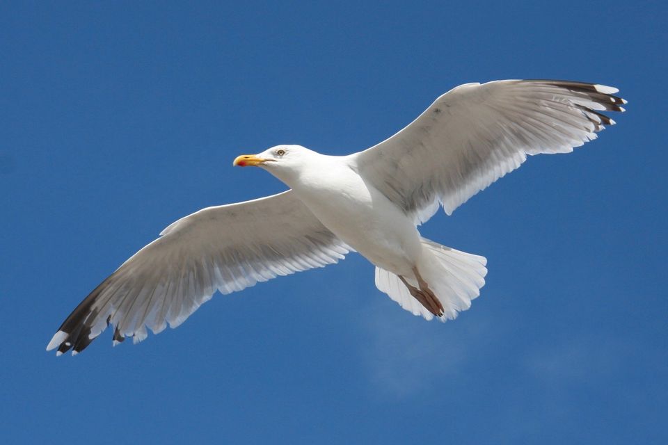 ❤️direkt am Meer❤️ Last Minute bis 21.10.23. Ferienwohnung an der Ostsee in Dahme, 23747 mit Meerblick - Sauna - Whirlwanne. bis zu 8 Personen. 360-Grad Rundgang in Lensahn