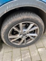 Winterreifen Skoda Oktavia IV (4) Niedersachsen - Osnabrück Vorschau