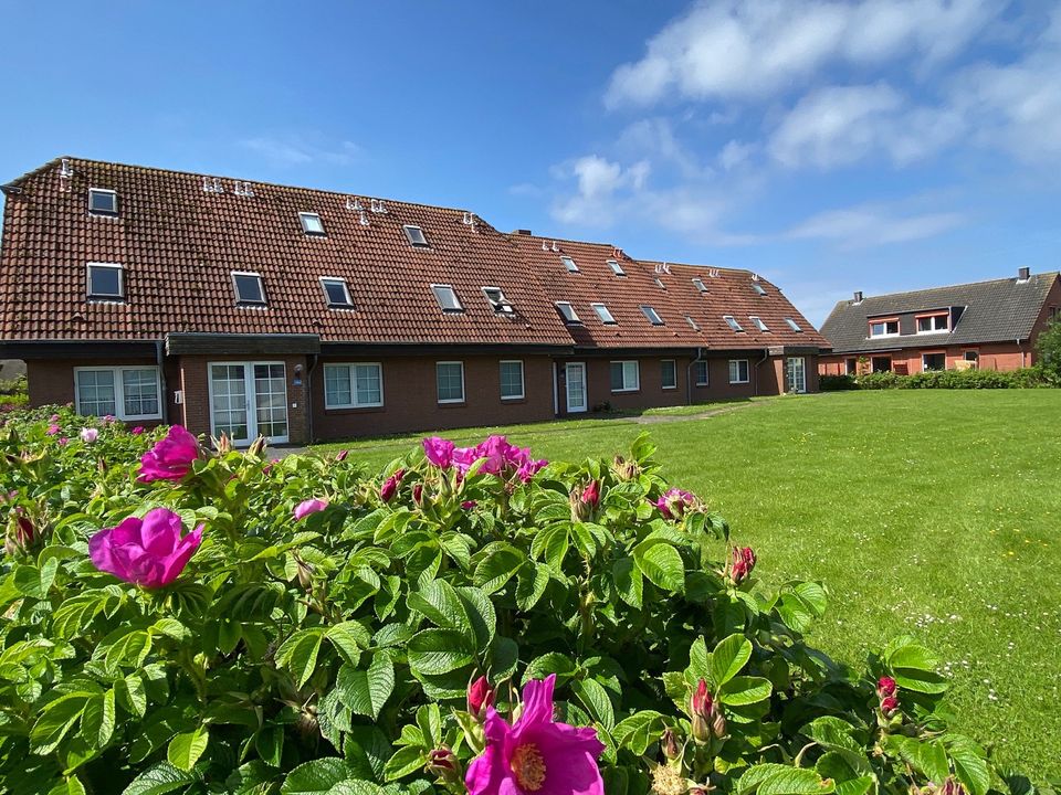 Ferienwohnung Friedrichskoog-Spitze Nordsee Urlaub Familien in Friedrichskoog