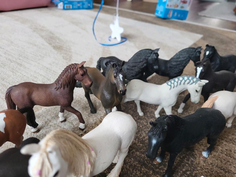 Schleich Pferde Horse Club Hunde Katzen Hasen in Berlin