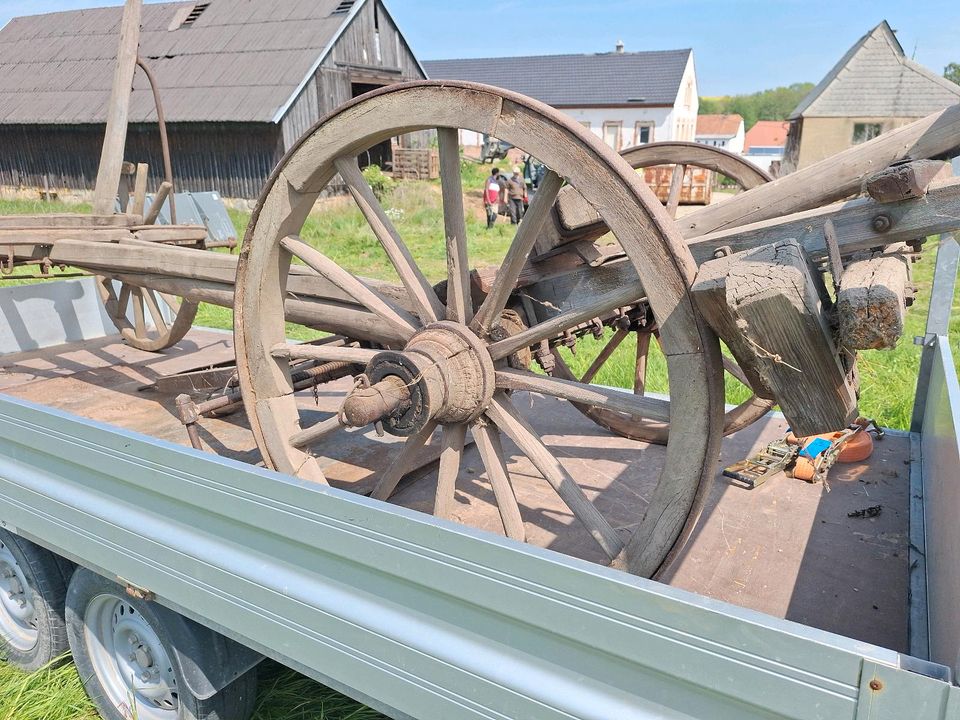 Pferdewagen bastelstück in Striegistal