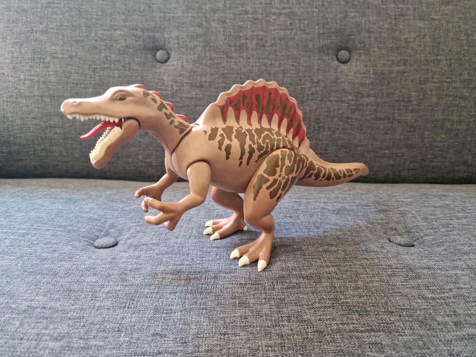 Playmobil Dinosaurier Spinosaurus aus 5019 in Bayern - Griesstätt |  Playmobil günstig kaufen, gebraucht oder neu | eBay Kleinanzeigen ist jetzt  Kleinanzeigen