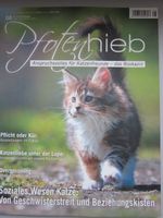 Pfotenhieb Bookazin Katzenzeitschrift Zeitschrift Katzen Schleswig-Holstein - Tappendorf Vorschau