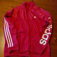 Pinke Adidas climalite Sportjacke Größe M 38/40 Parchim - Landkreis - Tessenow Vorschau