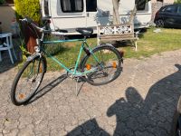 Fahrrad Oldtimer Alpina Sporting Rheinland-Pfalz - Weingarten Vorschau