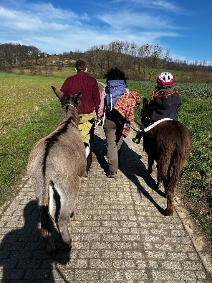 Eselwanderung mit geführtem Reiten für Familien in Fröndenberg (Ruhr)