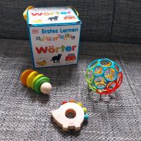 Babyspielzeug - Paket Rheinland-Pfalz - Kaiserslautern Vorschau