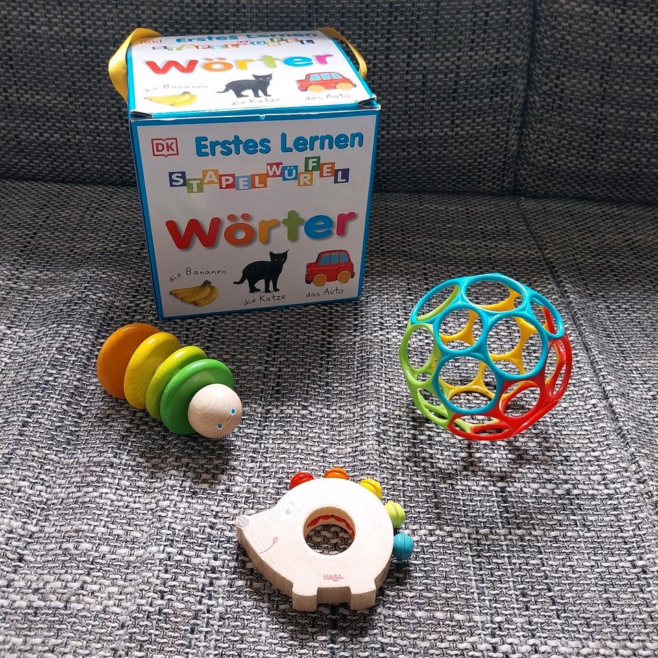 Babyspielzeug - Paket in Kaiserslautern