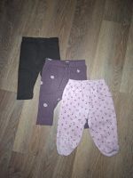 3 Hosen/ Leggings,  Größe 68 Niedersachsen - Bad Zwischenahn Vorschau