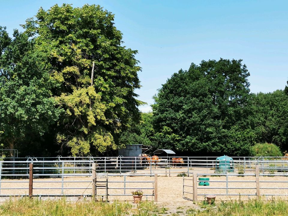 Offenstallplatz Offenstall Stellplatz auf schönem Islandpferdehof in Groß Offenseth-Aspern