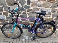 Herren MTB Schauff Super-Djungle Profistyle *90iger Retro-Bike* Niedersachsen - Goslar Vorschau