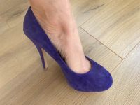 Steve Madden Pumps blau Wildleder 40 Neu Nordrhein-Westfalen - Gelsenkirchen Vorschau