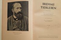 BREHMS Tierleben in 4 Bänden Sachsen - Kirchberg Vorschau