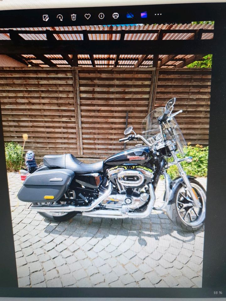 Harley-Davidson Sportster 1200 in Groß-Zimmern