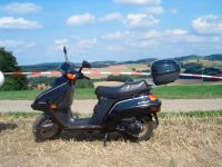 Honda Elite CH 250 Oldtimer Roller/Scooter Niedersachsen - Rinteln Vorschau