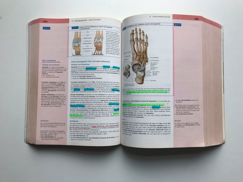 Duale Reihe Anatomie Medizin in Göttingen