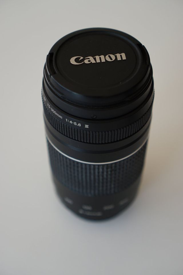 Canon EOS 1000D DSLR + 2 Objektive + Zubehör in Berlin