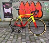 Specialized Crux Expert 56 Cyclocross Gravel mit Tune Laufrädern Hemelingen - Hastedt Vorschau