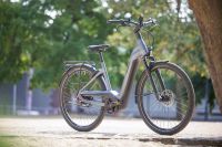 Pegasus Premio EVO NV Lite Belt  E-Bike Elektrofahrrad Pedelec Niedersachsen - Garrel Vorschau