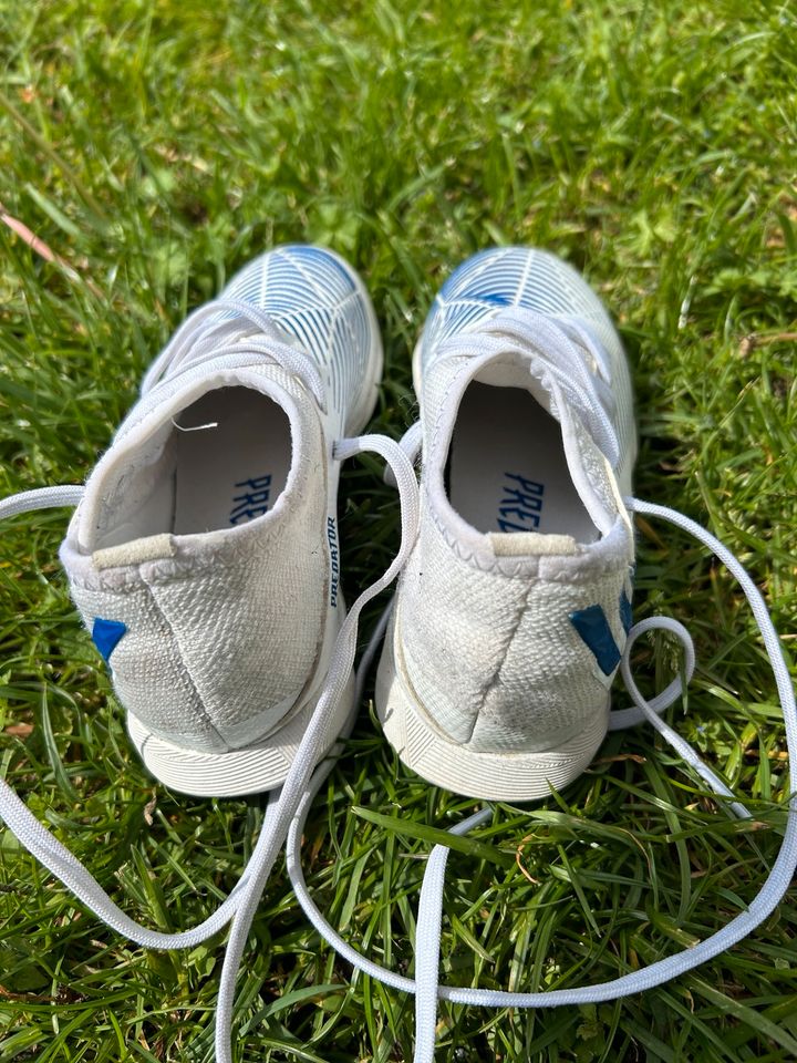 Kinder Fußballschuhe Gr. 28 von Adidas in Mudersbach