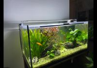 Aquarium 250 Liter Bayern - Wettstetten Vorschau
