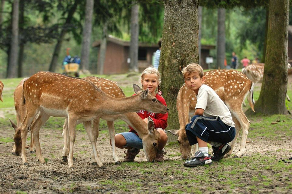 Familien-Sparurlaub mit Halbpension in Bispingen