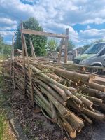 Weidenstecklinge Weiden Kopfweiden Zaun Holz Niedersachsen - Burgdorf Vorschau