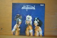 Schallplatte LP Vinyl Skyband - Same Bayern - Böhmfeld Vorschau