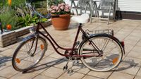 Altes Staiger Pegasus Damenfahrrad 26 Zoll Bayern - Alteglofsheim Vorschau