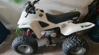 Verkaufe 50ccm quad Sachsen - Regis-Breitingen Vorschau