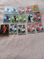 Match attax Saison 23/24 karten Bayern - Bamberg Vorschau