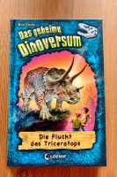 Kinderbuch: Das geheime Dinoversum Niedersachsen - Haren (Ems) Vorschau