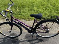 Fahrrad 28 Zoll ZEG Design Peugeot Jubilé Damenfahrrad lila Rad Bayern - Kulmain Vorschau