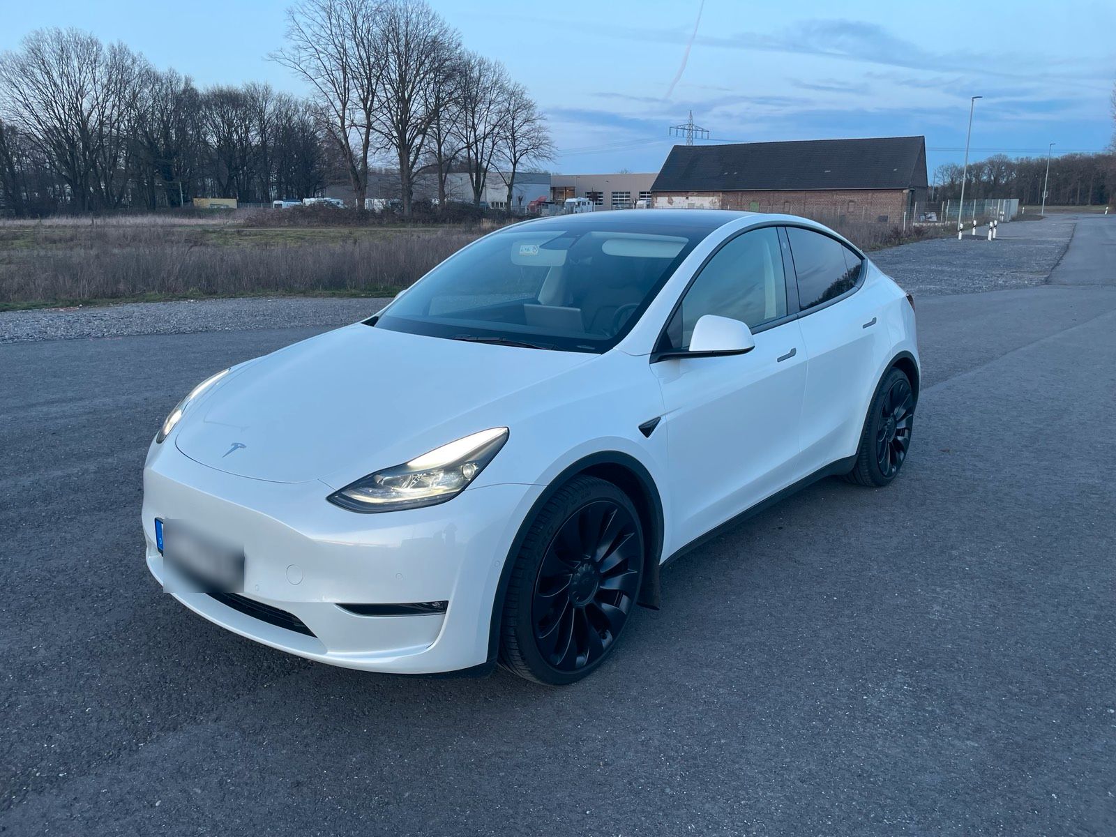 Abbildung des Autos Tesla Model Y Perfomance