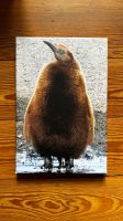 Kleine Leinwand Bilder Pinguin, Eisbär, Wale, Seehund Berlin - Charlottenburg Vorschau