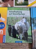 Schafhaltung auf Kleinflächen Buch Sachsen-Anhalt - Loburg Vorschau