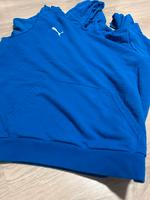 Puma Pulli Hessen - Nidderau Vorschau