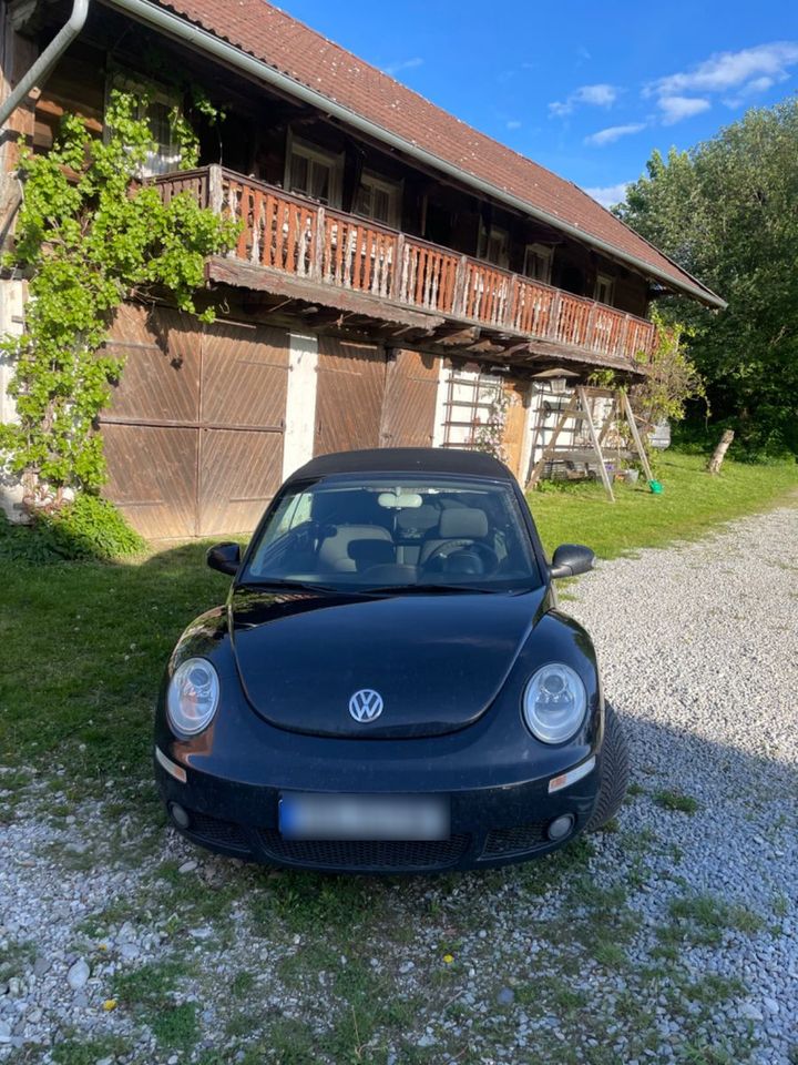 Volkswagen Beetle in Hebertsfelden