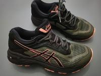 Asics GT 2000 T877N Damen 6Trail Schuhe Gr.38 Niedersachsen - Uelzen Vorschau