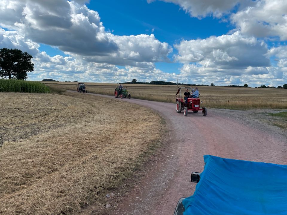 Oldtimer Trecker mieten Ihc,Hanomag,Deutz,Fahr in Obernholz