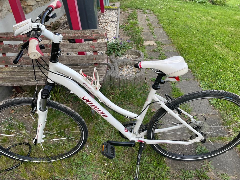 Fahrrad Specialize Ariel 48D Wß in Freital