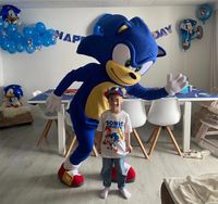 Sonic Maskottchen Kostüm kindergeburtstag Event miete Party Hessen - Groß-Gerau Vorschau