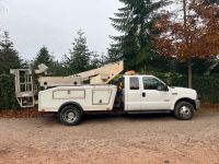 Ford F350 Pick Up V8 Arbeitsbühne VT125 Steuerfrei Werkstattwagen Niedersachsen - Cloppenburg Vorschau