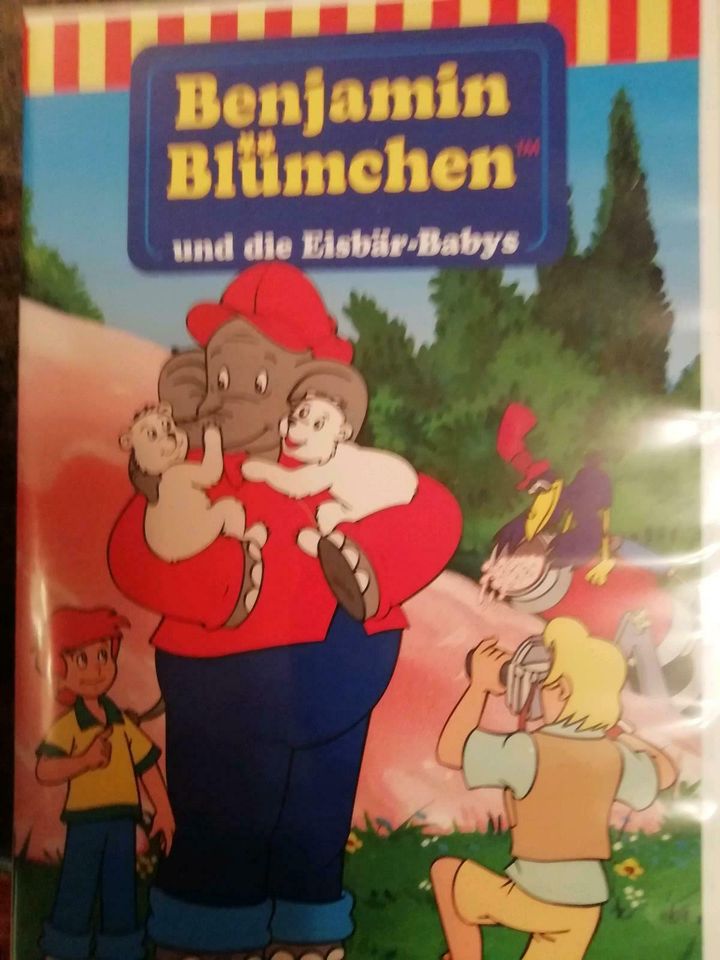 Videokassetten Kinder B. Blümchen, Biene Maja, König der Löwen,.. in St. Ingbert