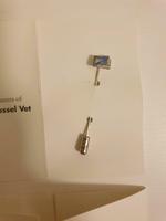 Hoechst Roussel Vet, 4x Anstecknadel / Pin, vintage, unbenutzt Rheinland-Pfalz - Mainz Vorschau