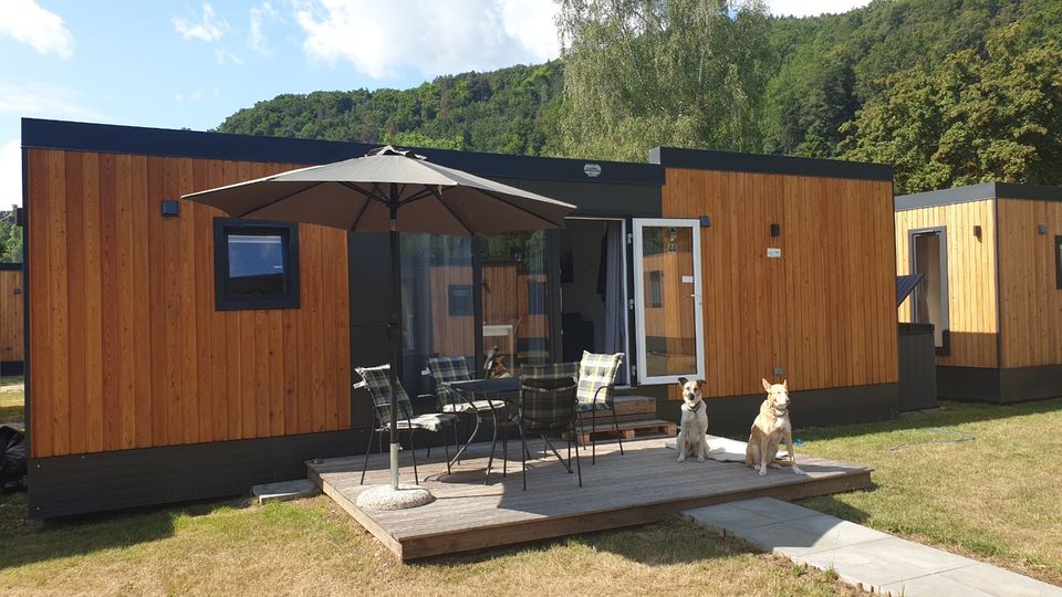 Urlaub mit Hund(en) im Tinyhaus in Riedenburg im Altmühltal in Riedenburg