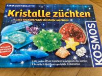 Kristalle züchten München - Au-Haidhausen Vorschau